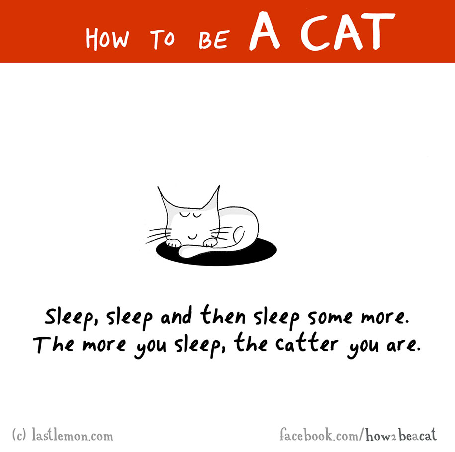 funny-illustration-guide-how-to-be-cat-lisa-swerling-ralph-lazar-4