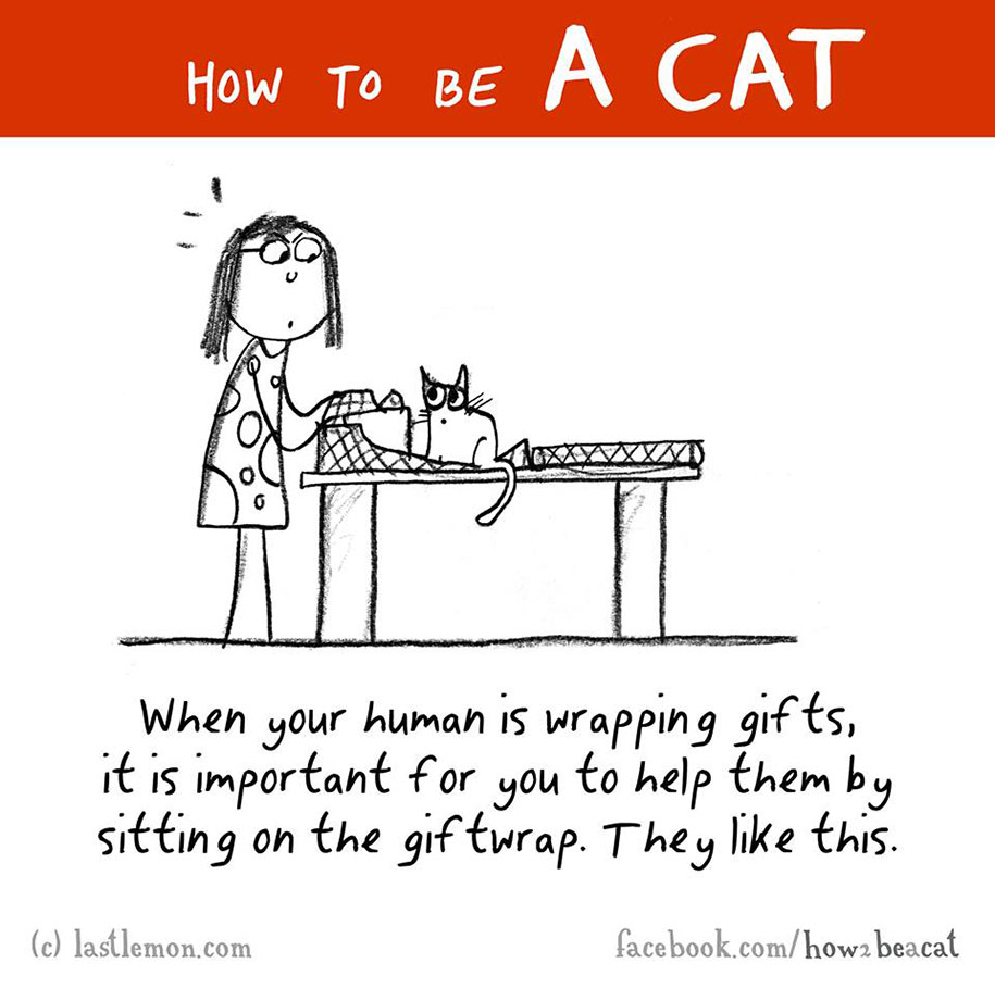 funny-illustration-guide-how-to-be-cat-lisa-swerling-ralph-lazar-41