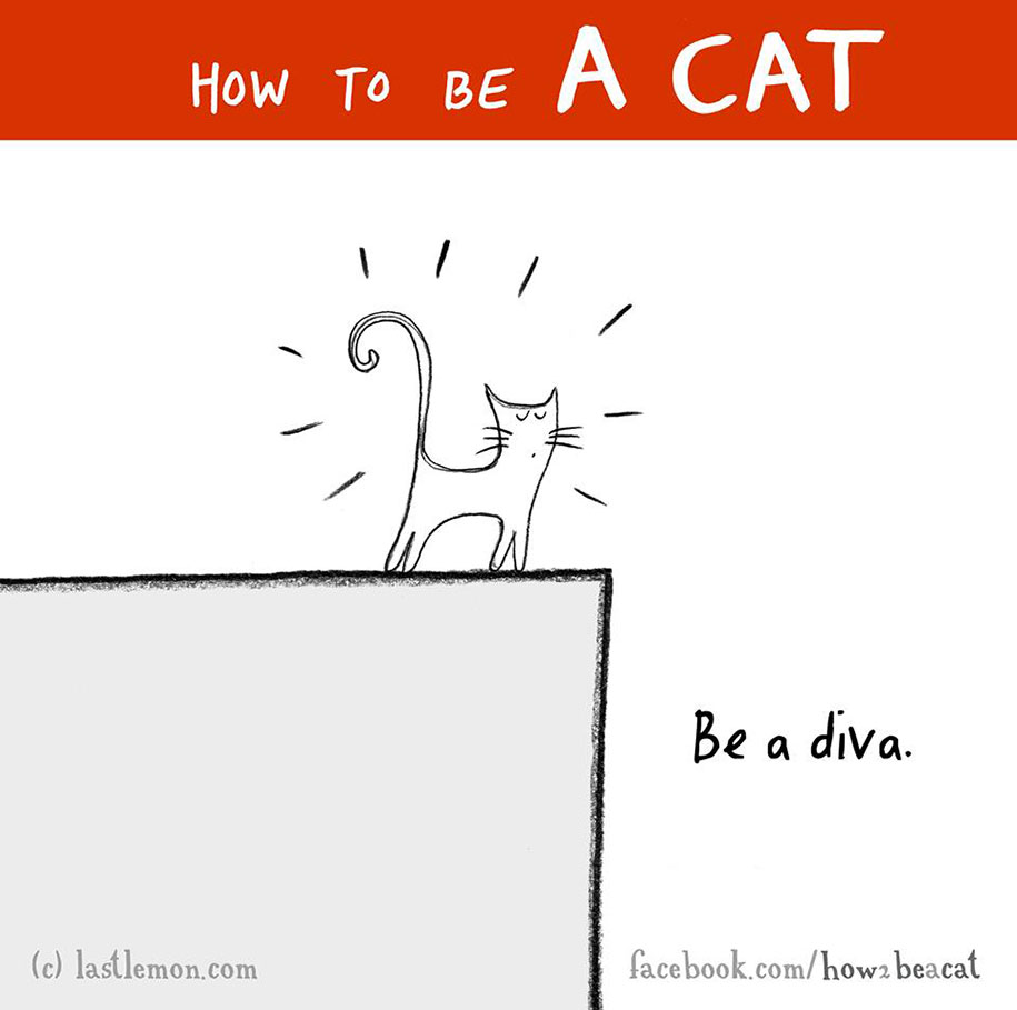 funny-illustration-guide-how-to-be-cat-lisa-swerling-ralph-lazar-46