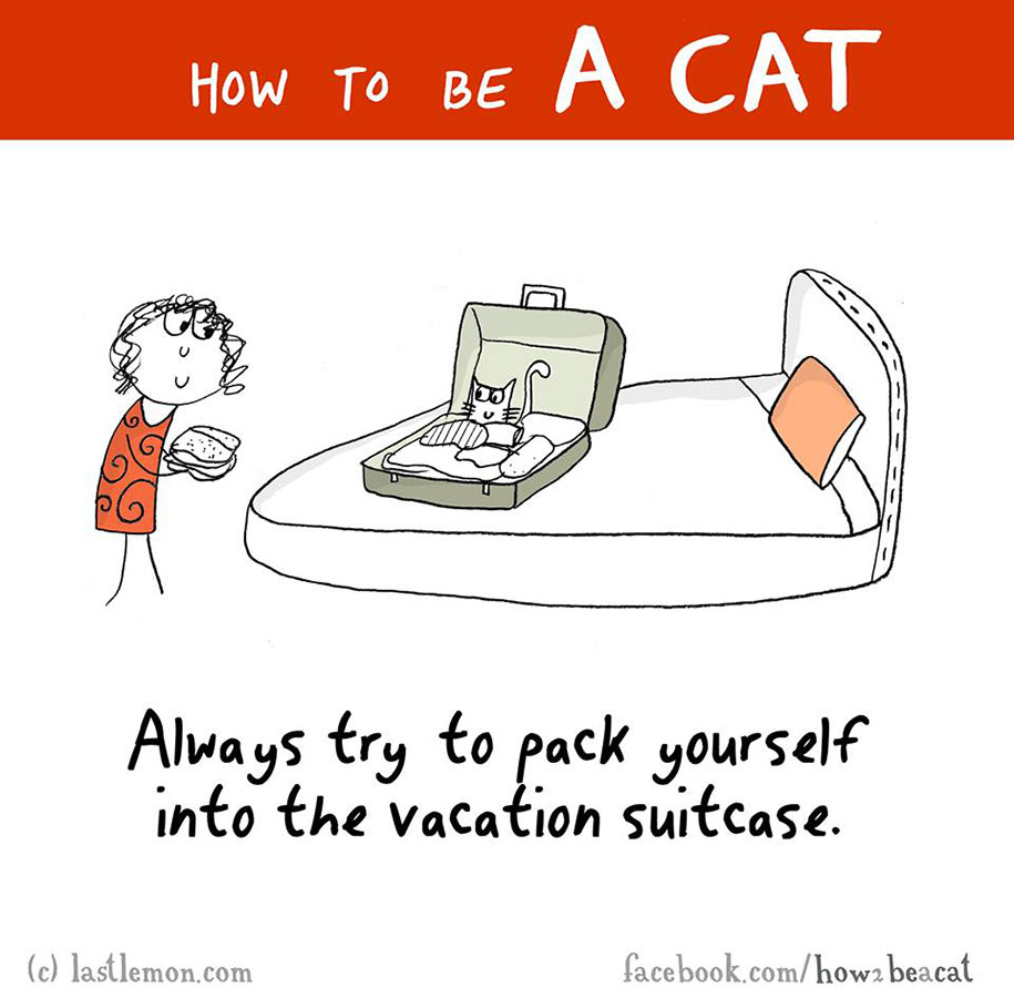 funny-illustration-guide-how-to-be-cat-lisa-swerling-ralph-lazar-5