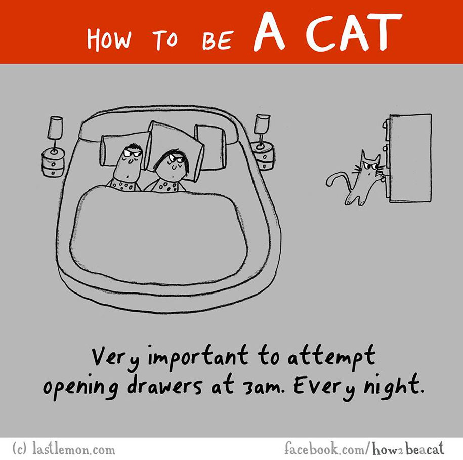 funny-illustration-guide-how-to-be-cat-lisa-swerling-ralph-lazar-51