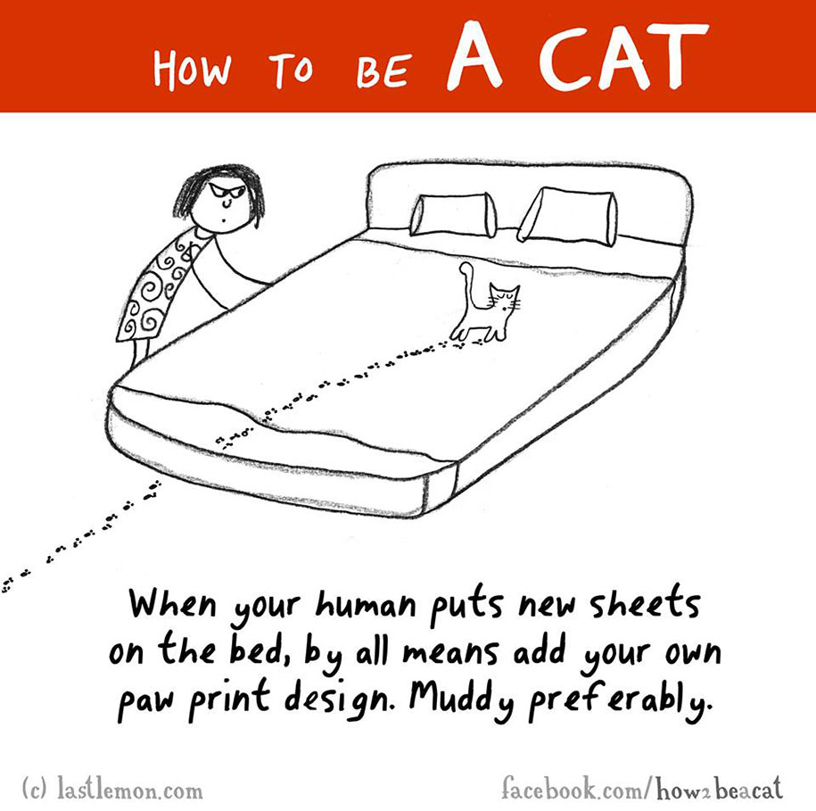 funny-illustration-guide-how-to-be-cat-lisa-swerling-ralph-lazar-61