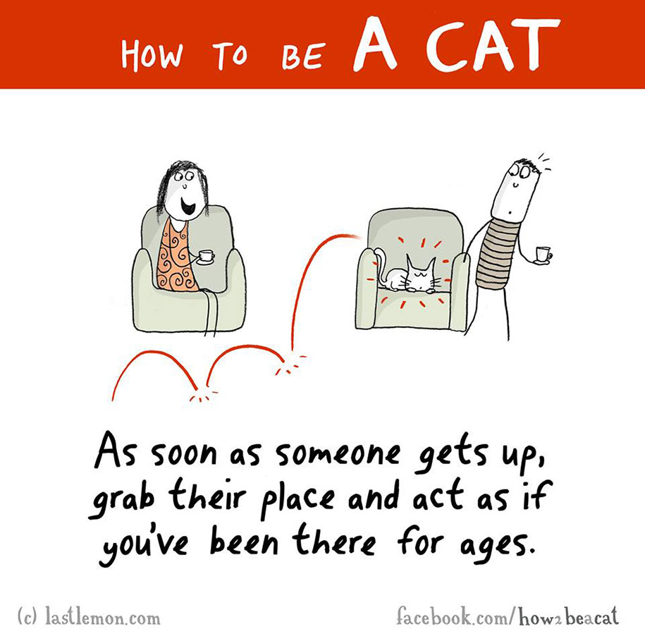 funny-illustration-guide-how-to-be-cat-lisa-swerling-ralph-lazar-82