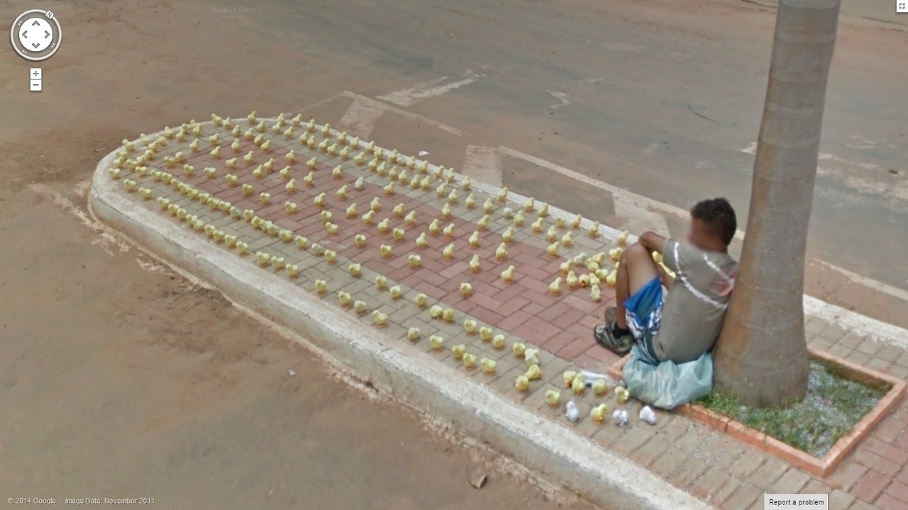 A guy with all of his ducks in a row.