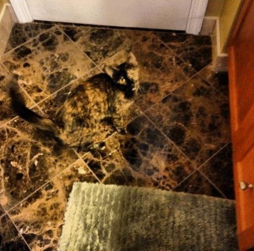 They wanted their floor to match their pets.