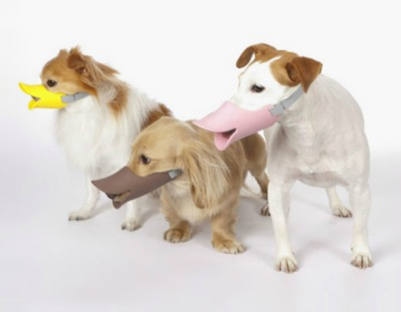 Turn an intimidating muzzle into something cute with these duckbilled muzzles.