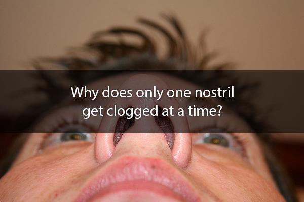 Your two nostrils are a team that work together to help you breathe, but they split the workload. Even when you’re not sick, one nostril is doing more work than the other. Your autonomic nervous system, which takes care of things you don’t consciously control, will switch this for you.
