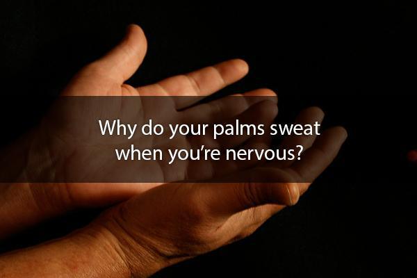 Sweaty palms can be caused by two things: emotional stress and your body trying to regulate its temperature. When you get nervous, scared, or excited your sympathetic nervous system will stimulate Eccrine glands on your face, palms, armpits, and more.