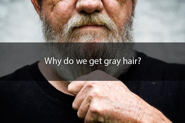 Your hair actually has no color to it at all. Hair color depends on pigment secretion and this is why it might change over time. When your body ages, it slowly stops producing the pigment and the hair returns to its natural state. Some people’s bodies stop producing the pigment sooner than others.