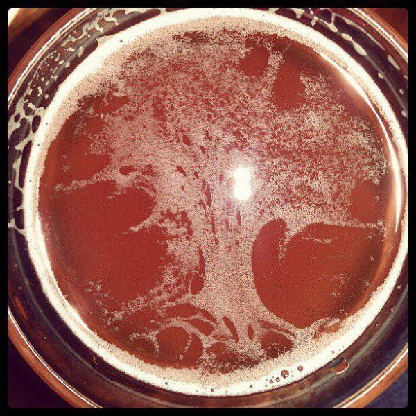 The tree of life stems from your pilsner.