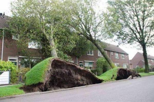 when wind is a total jerk 640 03 Sometimes the wind can be kind of a d*ck (28 Photos)