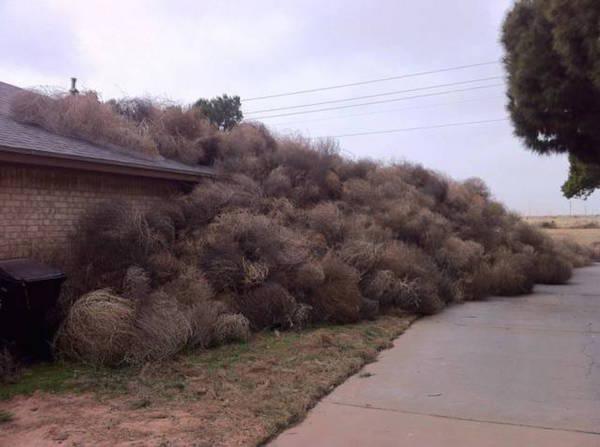 when wind is a total jerk 640 08 Sometimes the wind can be kind of a d*ck (28 Photos)