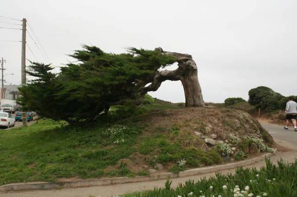 when wind is a total jerk 640 19 Sometimes the wind can be kind of a d*ck (28 Photos)