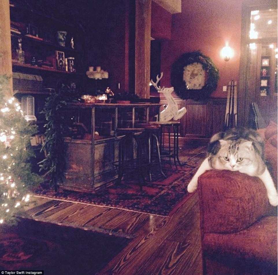 In this Instagram photo of one of Taylor's cats, the star wrote 'Meredith is so utterly BORED by my Christmas cheer'!