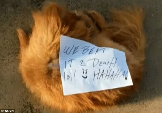 Sickening: Ronald Boisvert and his girlfriend  were horrified to find their missing Pomeranian lying dead outside their home on Saturday morning, with a note reading: 'We beat it 2 death lol HAHAHA!' (above)