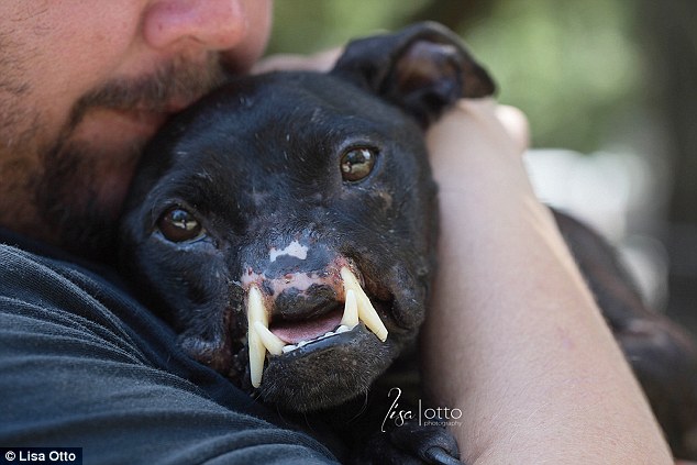 The dog with 'half a face' is now loved and cared for by Stephanie Paquin and her husband (above) while she waits for her surgeries