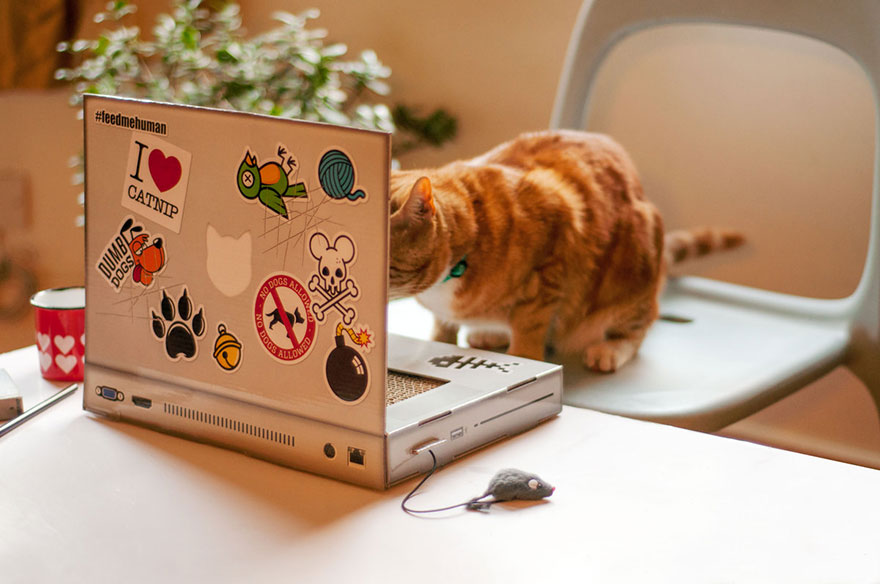 cat-scratch-laptop-toy-suckuk-5