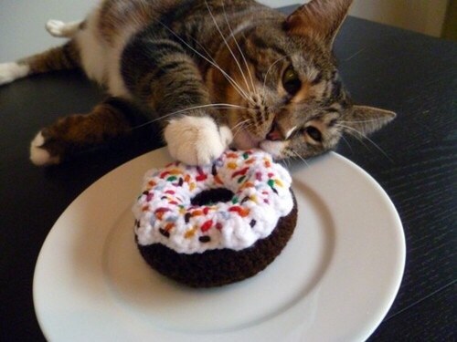 This cat is you with a doughnut.