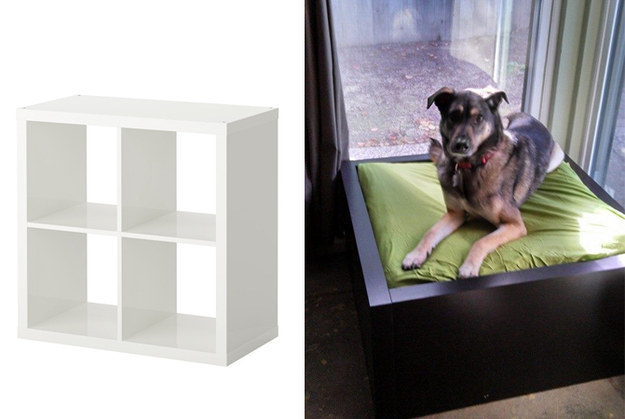 You can also hack an IKEA shelf for a super modern dog bed.