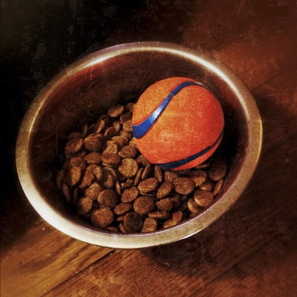 Put a ball in your dog’s food bowl if he or she eats too fast.