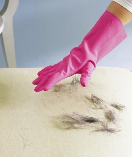 Pick up pet hair with a damp rubber glove.