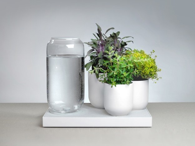 The self-watering plant tray Tableau