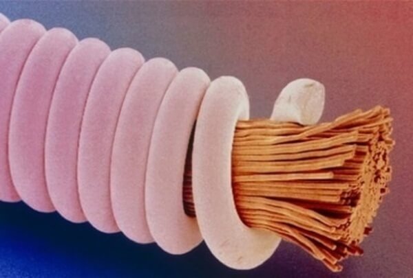 everyday objects under microscope 49
