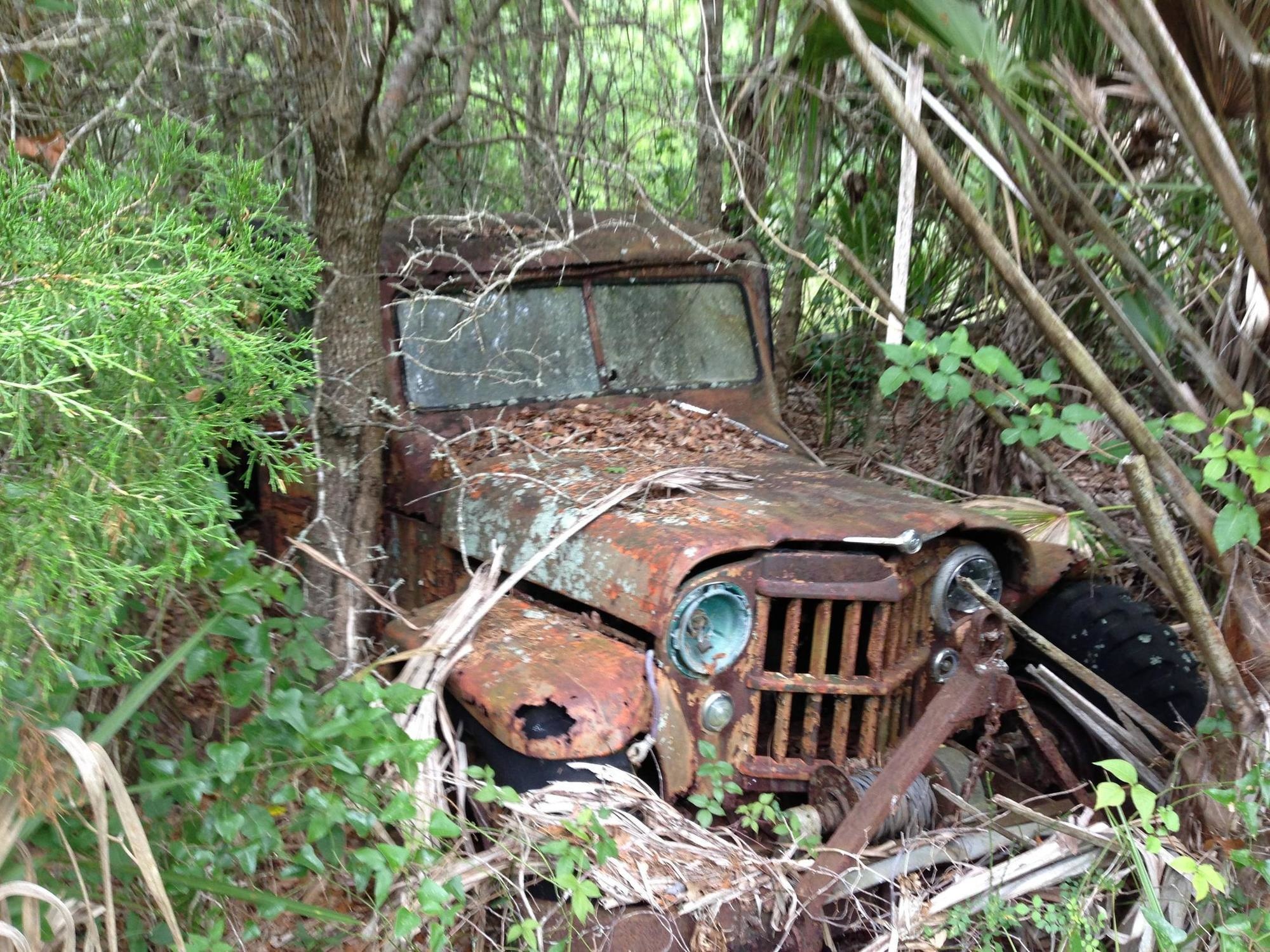 A property in the swamp of Florida hid this abandoned Jeep. 