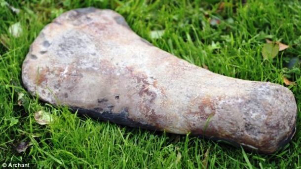 A man in the United Kingdom found a pliosaur bone while building a fence in his home. The 250 million fossil is not native to England. 