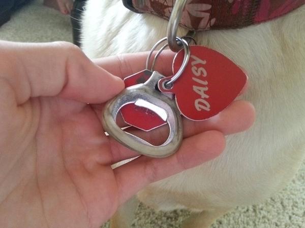 You can also convert your dog into a mobile bottle opener.