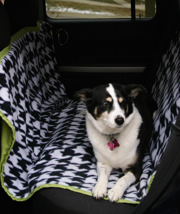 Make your own doggie hammock for safer and more comfortable car trips.