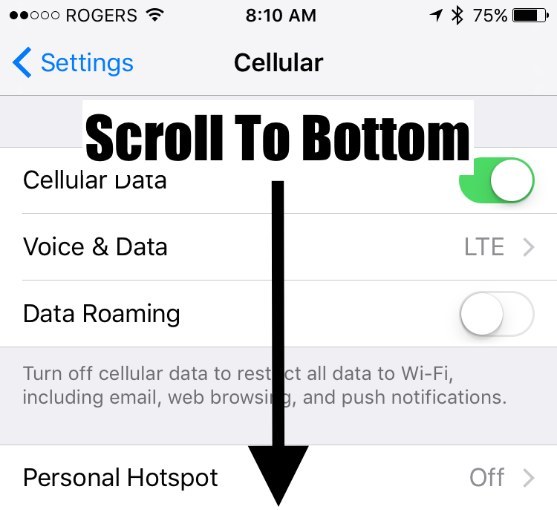 Once inside the Cellular menu, scroll all the way to the bottom.