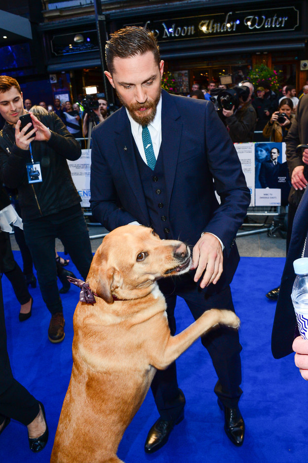 Tom Hardy took his dog to a movie premiere on Thursday night.