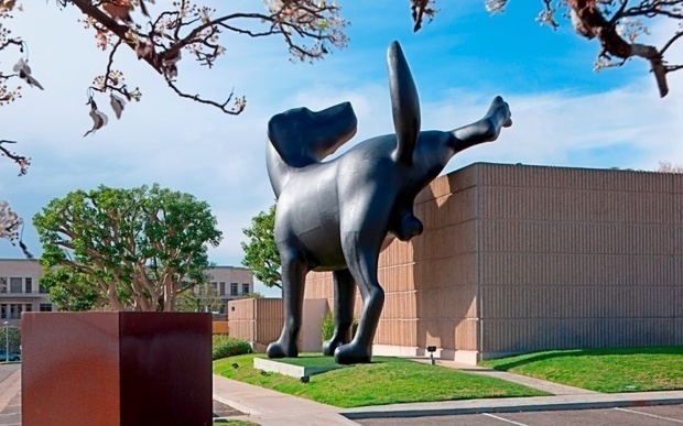 A dog marking his territory at the Orange County Museum of Art, California. 