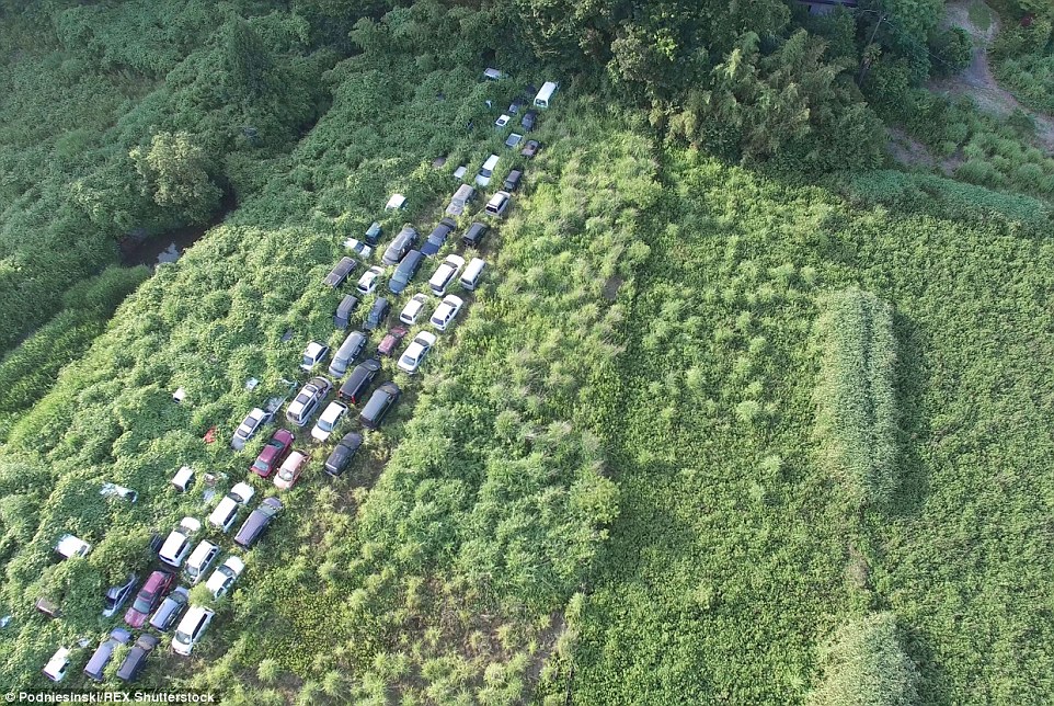 Dozens of vehicles lie abandoned and covered in overgrown bushes along what was once a stretch of road near the power plant