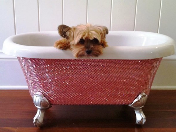 Diamonde bathtub for puppies 

Available at a price of $39,000, the bathtub is encrusted with 45,000 Swarowski crystals.