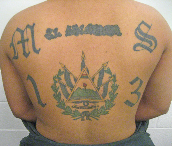 MS 13

The MS 13, also sometimes seen just as MS or 13, is a symbol of the Mara Salvatrucha gang from El Salvador. Typically these tattoos can be found anywhere on the body, but are most often found in highly visible places like the face, hands or neck.