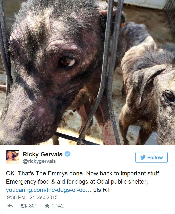His tweet asked his followers to donate to the shelter and spread their plea for help.