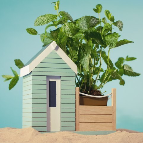 Get the beach house you've always wanted with this herb planter.