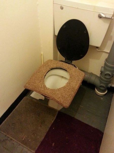 Cold toilet seat? Just stick a piece of carpet on there and keep yourself warm during the brutal winter months.