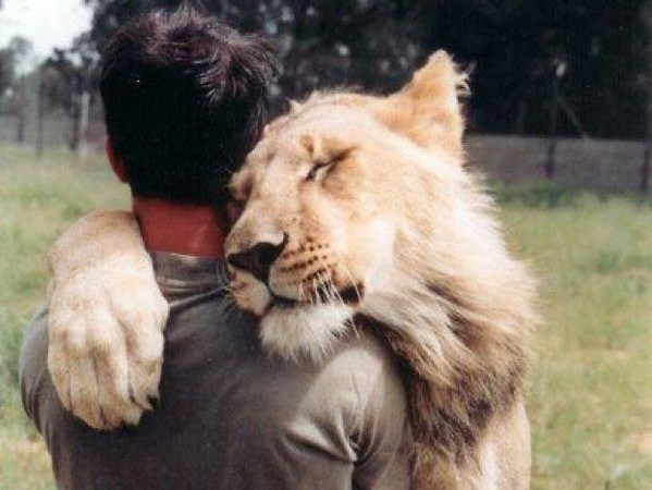 animal-hugs-4