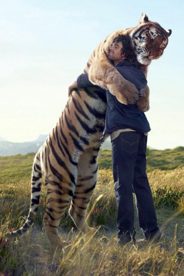 animal-hugs-5
