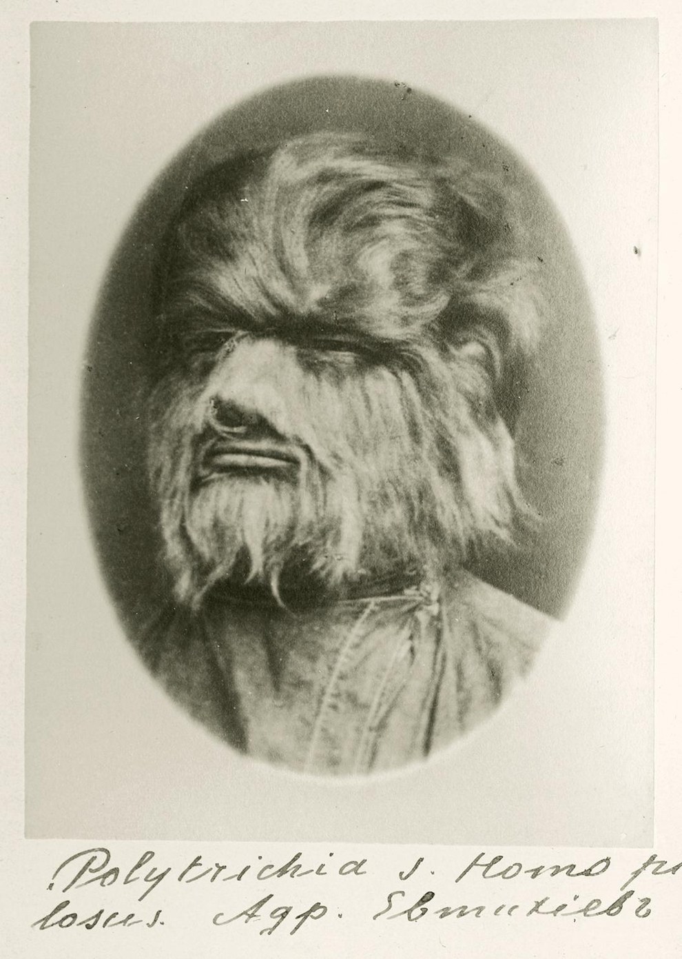 Adr. Evtikhiev the "Wolfman," 19th century.