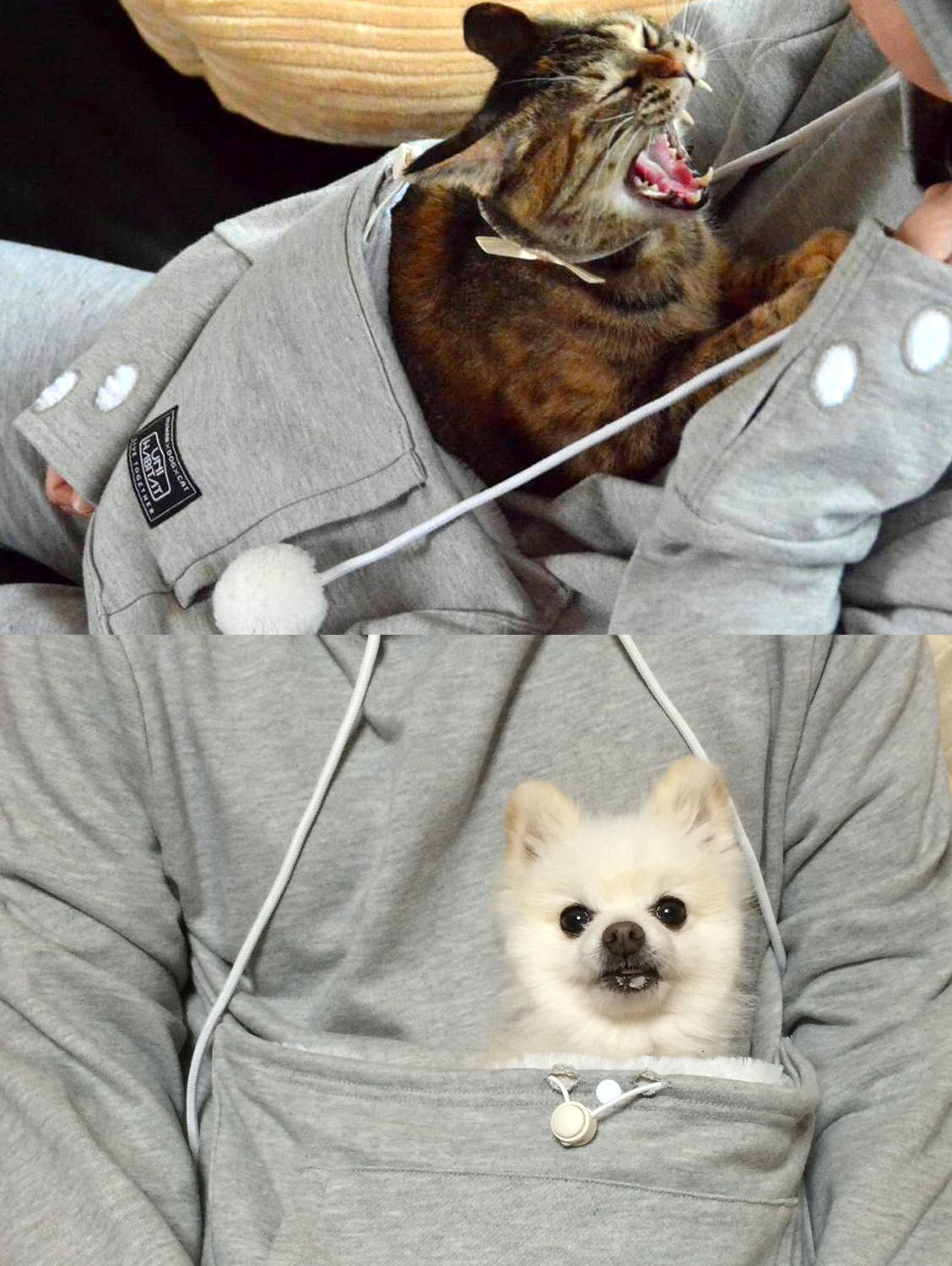 Mewgaroo Hoodie Pet Pouch Sweatshirt