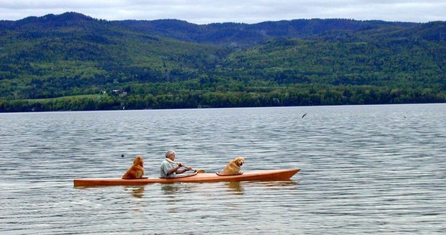 As for the dogs, Bahnson says they love the kayak.