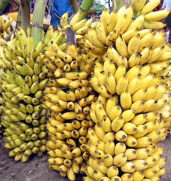 Bananas are one of the only foods that can combat the pain of stomach ulcers.