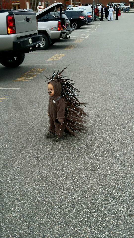 This kid as a porcupine.