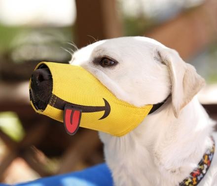 Smiling dog muzzle.