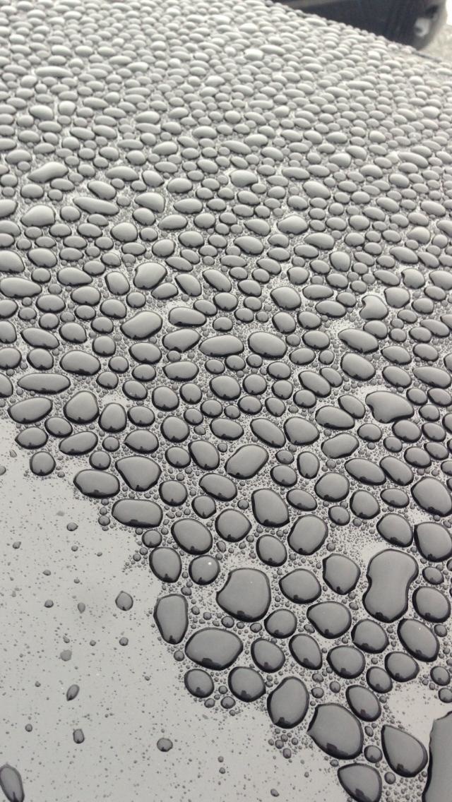 The awesome, beaded rain on a newly waxed car.