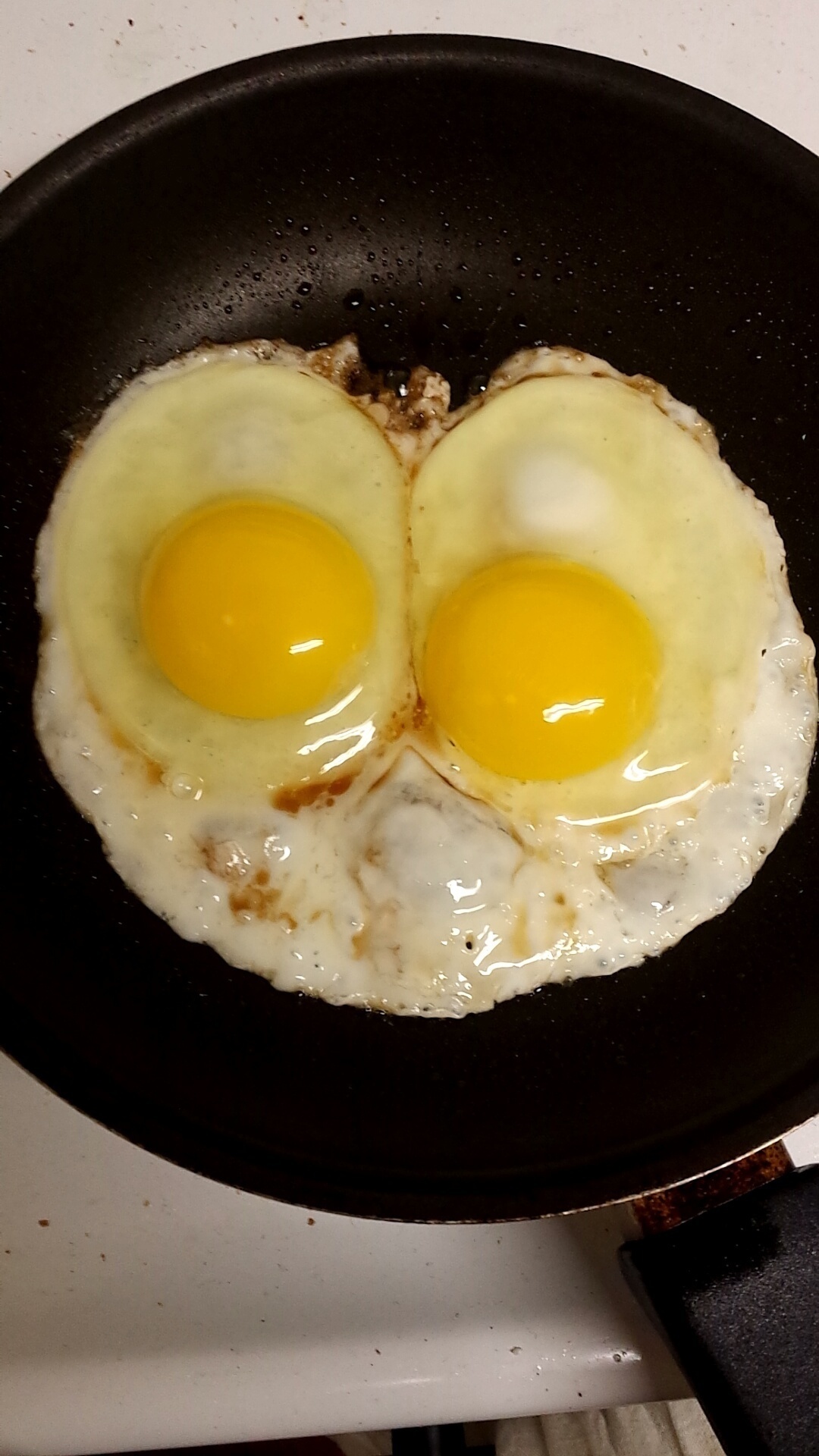 These eggs eerily resemble a surprised owl.